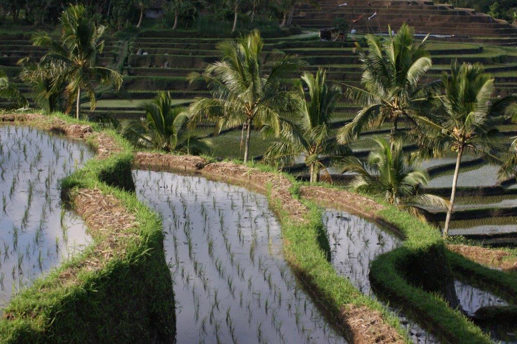 indonesia-bali