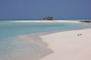 maldive-asdu