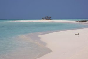 maldive-asdu